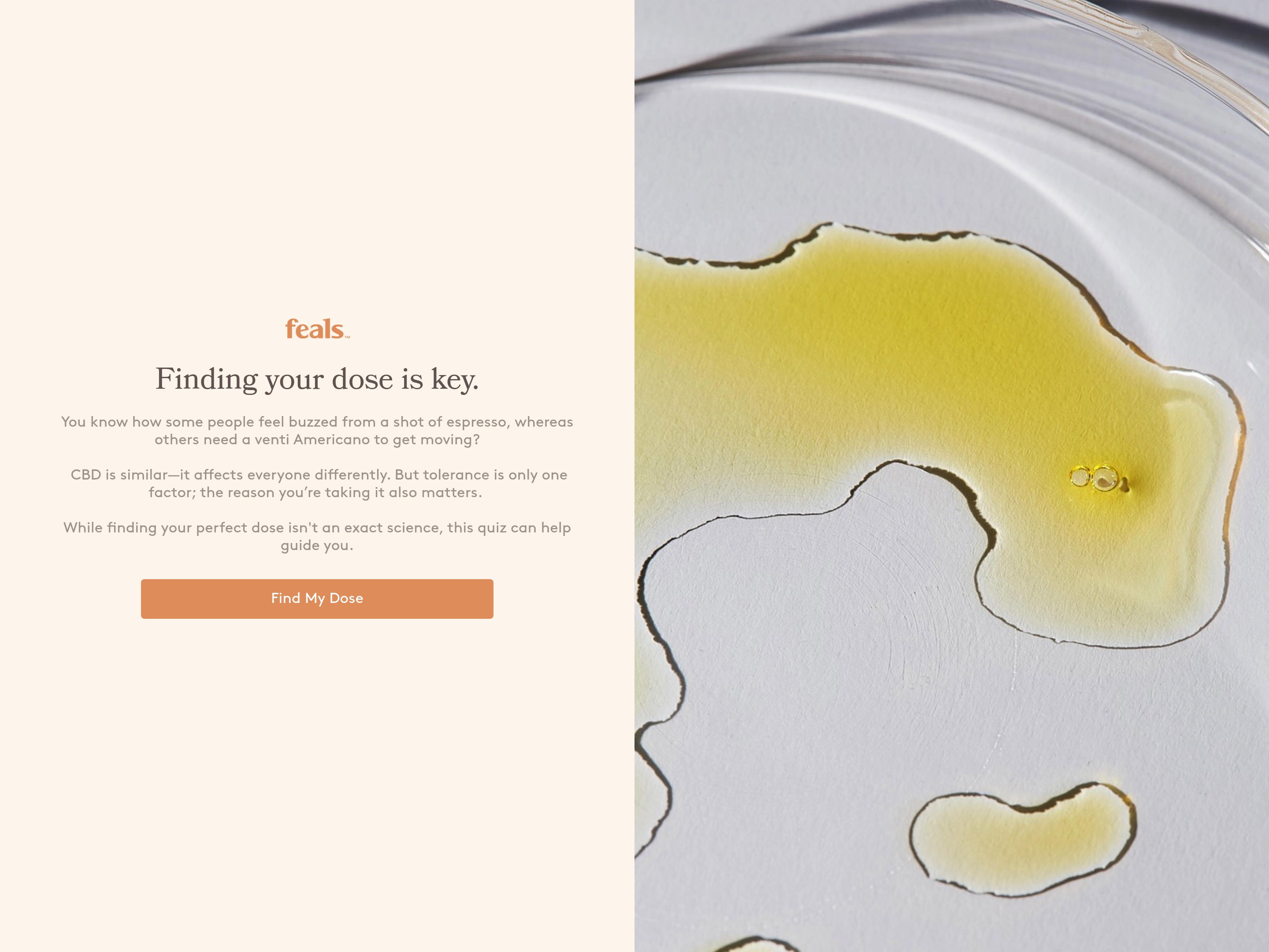 Feals - Feals CBD desktop screenshot