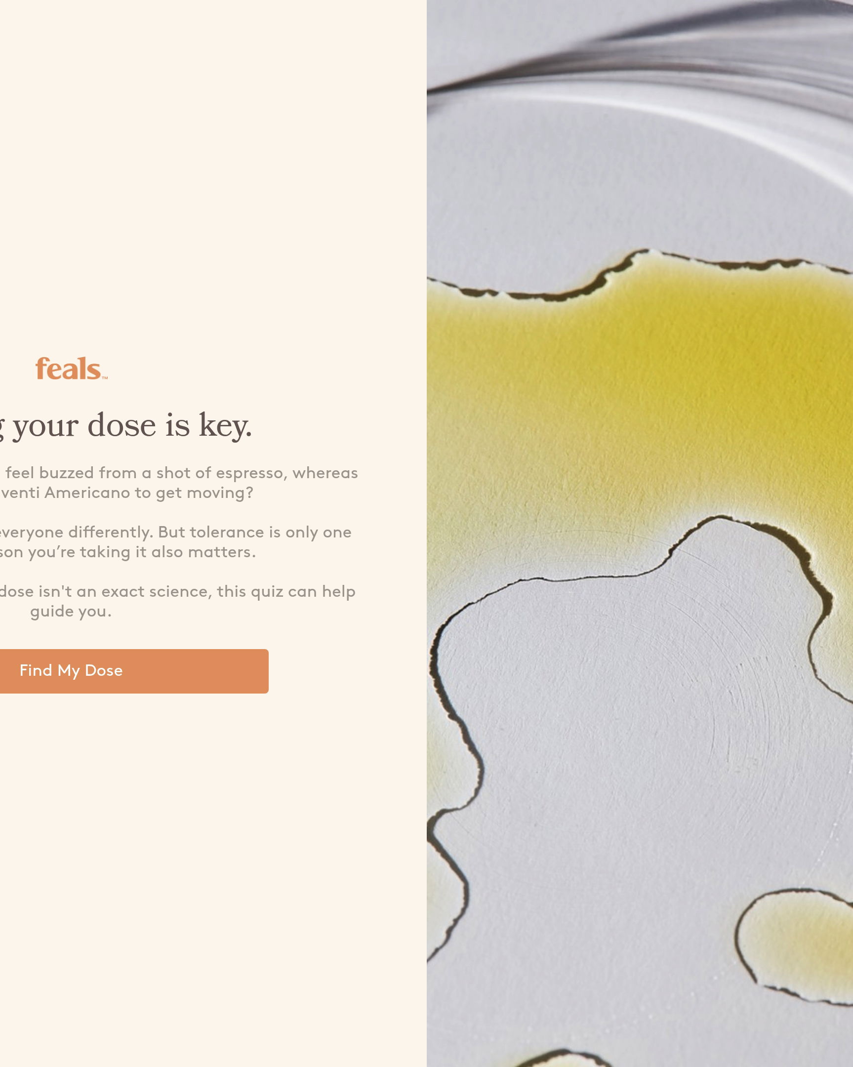 Feals - Feals CBD landing page